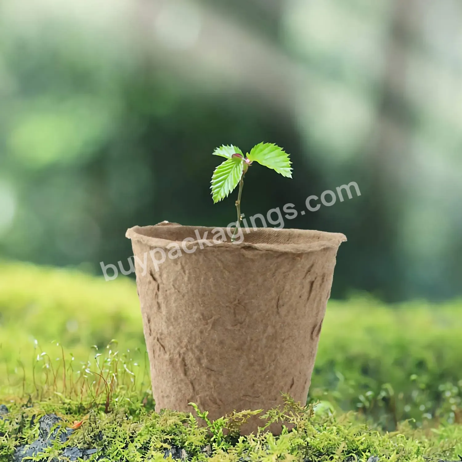 75 Pack 2.4" Peat Nursery Pots For Seedling Pots Organic Biodegradable Paper Pots Herb Seed Starters Kit With 75 Plant Ga - Buy Nursery Pots,Paper Seedling Pot,Molded Pulp Peat Pot.