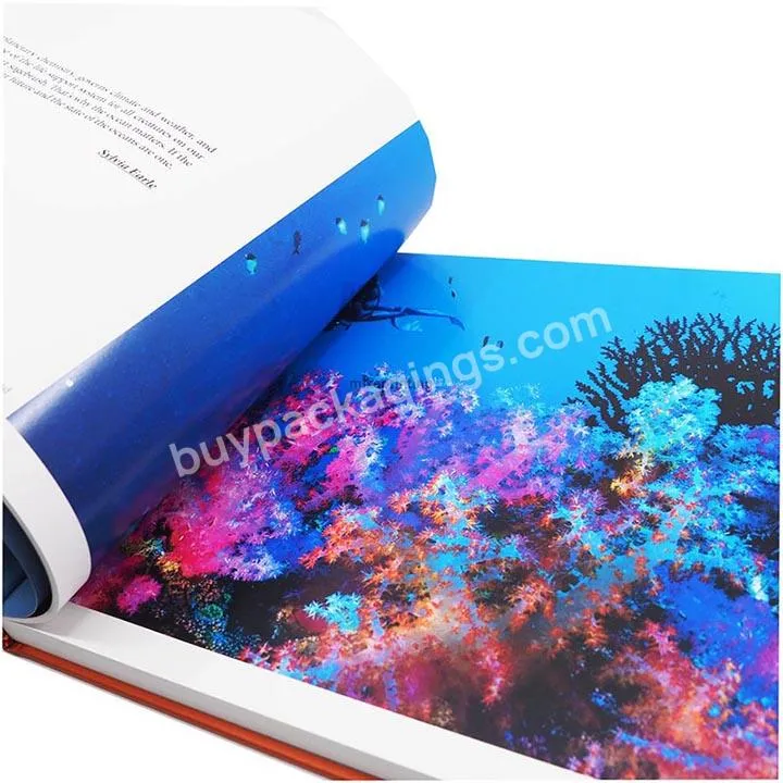 High Quality Colorful Hardcover Custom Children Book Printing