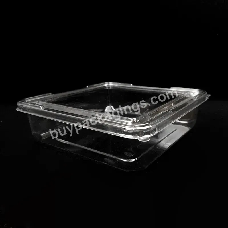 Clamshell Disposable Clear Take Away Lunch Box Food Container With Lids For Food - Buy Wholesale Transparent Takeout Boxes Plastic Blister Clamshell Cookie Tray Food Packaging,Pet/pp Blister Tray,Transparent Moon Cake Pet/pp Blister Tray.